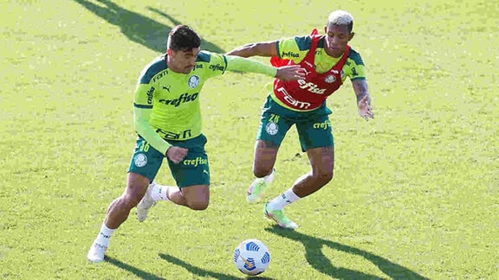 Palmeiras treino