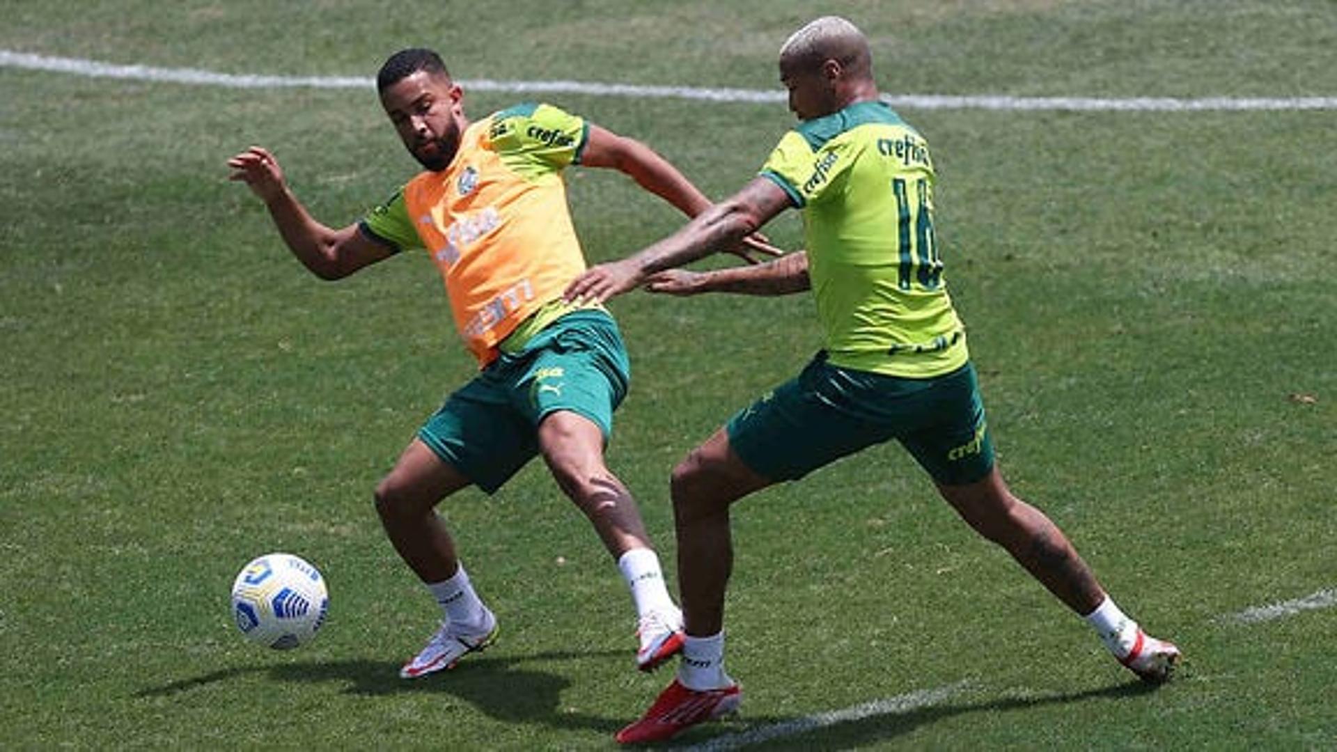 Palmeiras treino