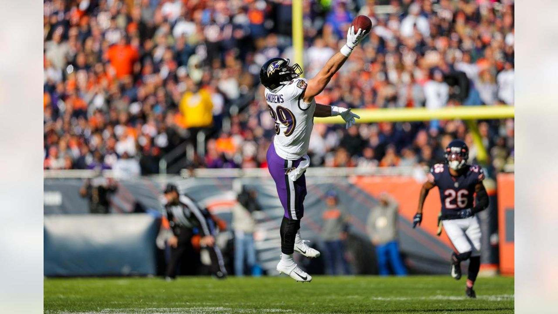 mark andrews baltimore ravens