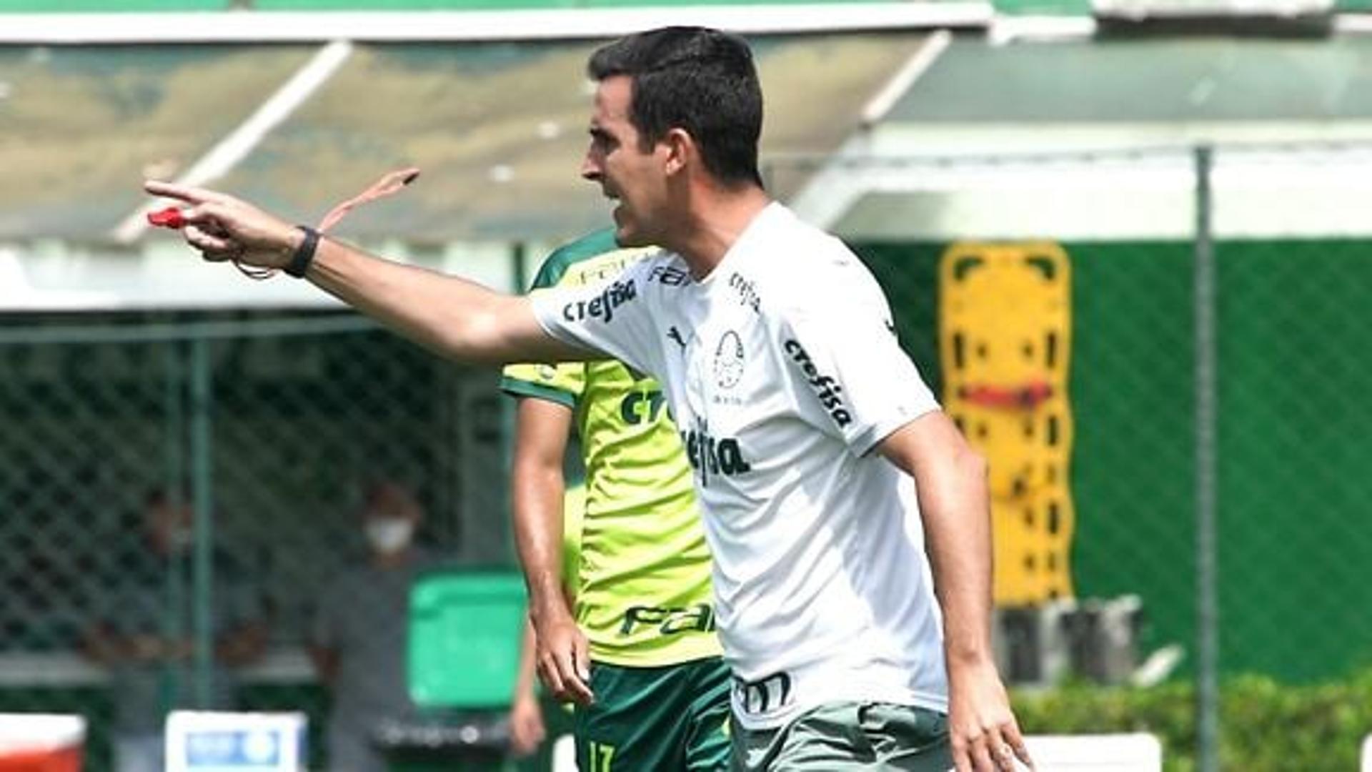 Paulo Victor Palmeiras