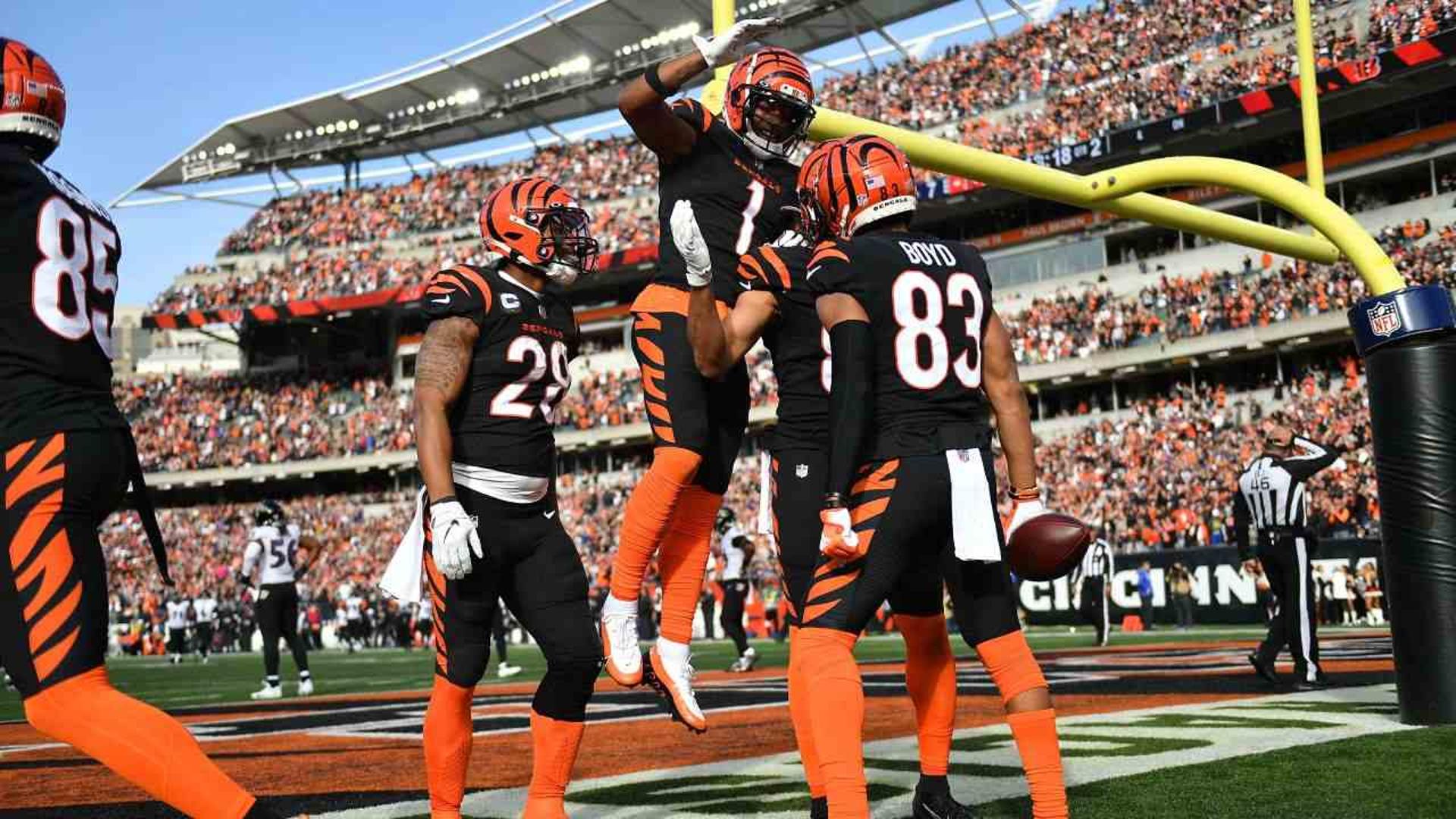 cincinnati bengals