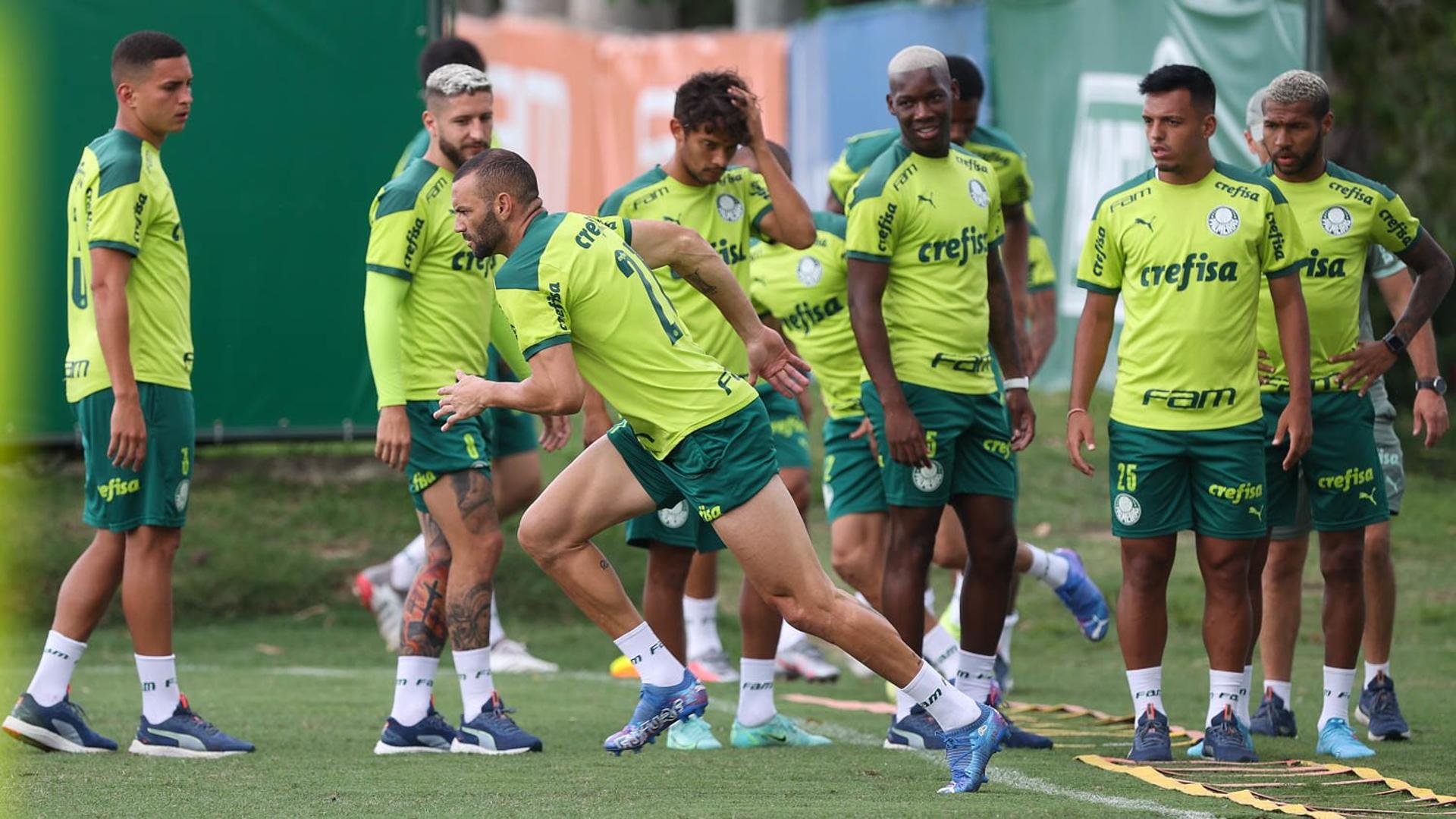 Palmeiras treino