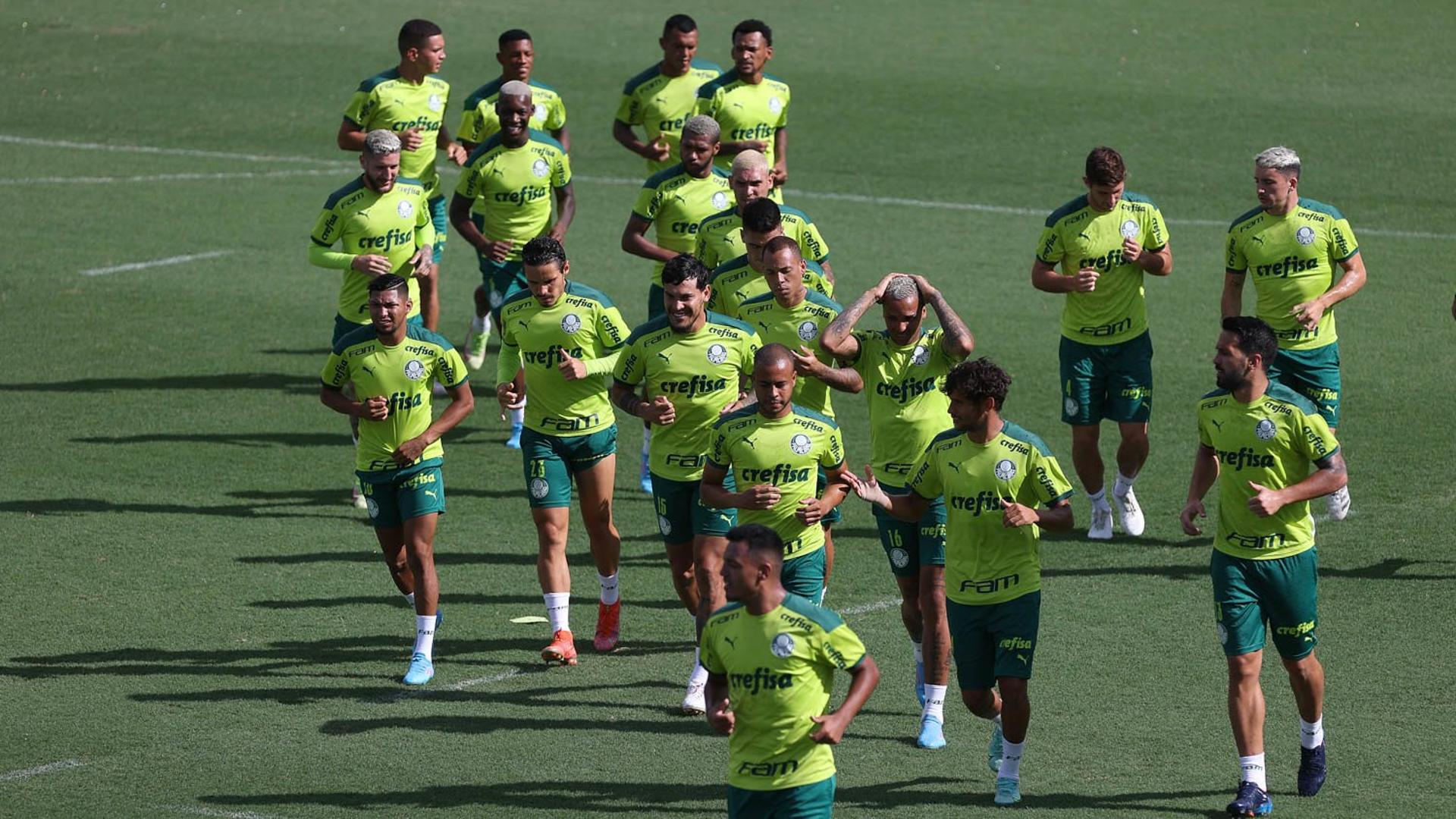 Palmeiras treino