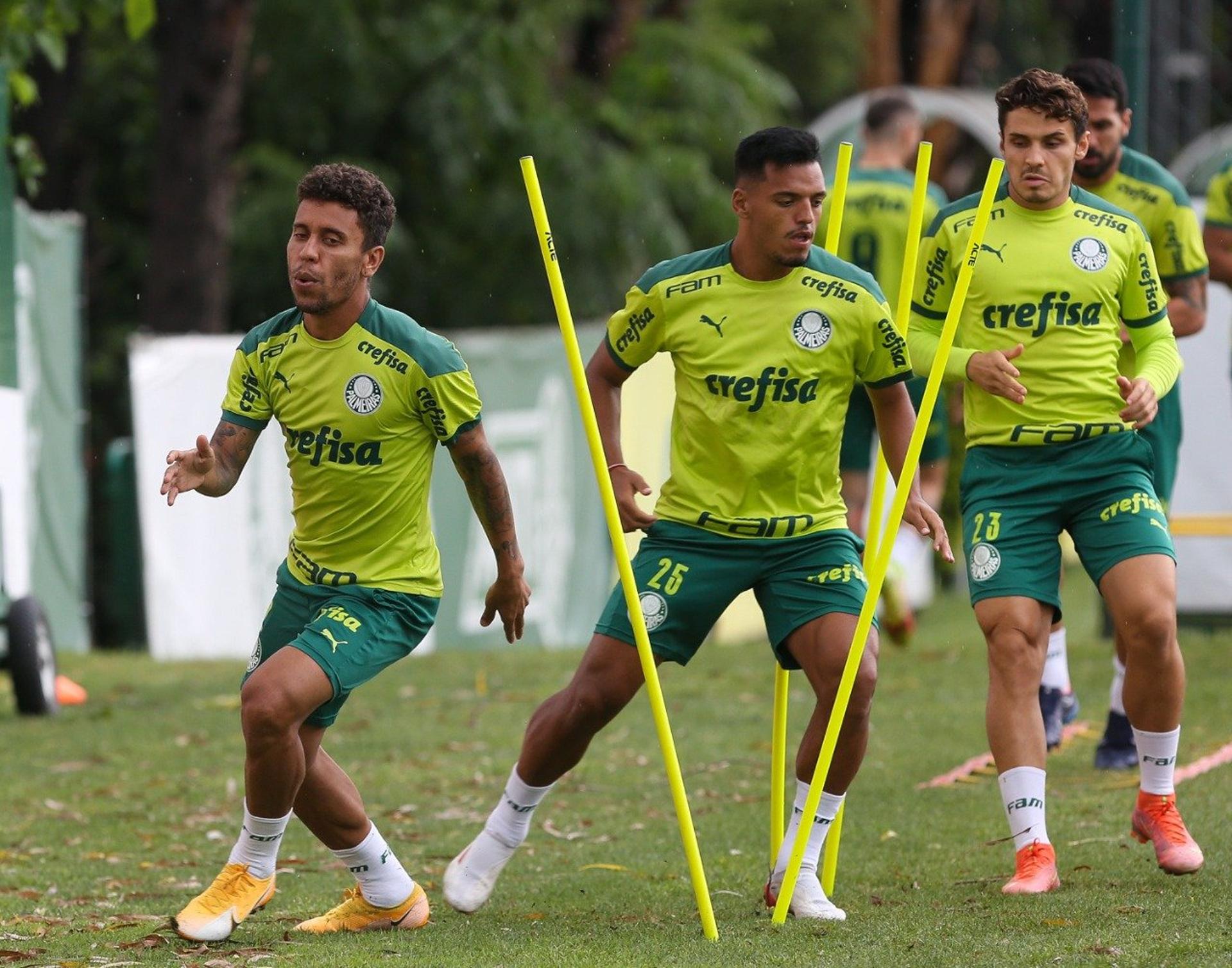 Palmeiras treino