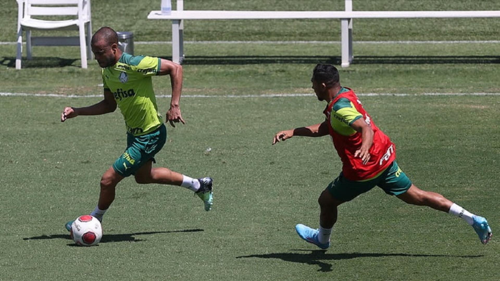 Treino Palmeiras