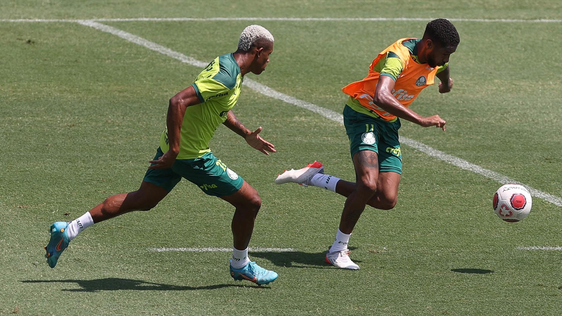 Danilo e Wesley treino Palmeiras