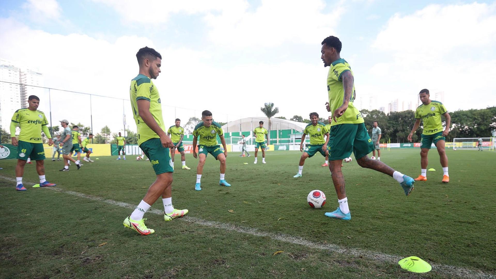 Treino Palmeiras