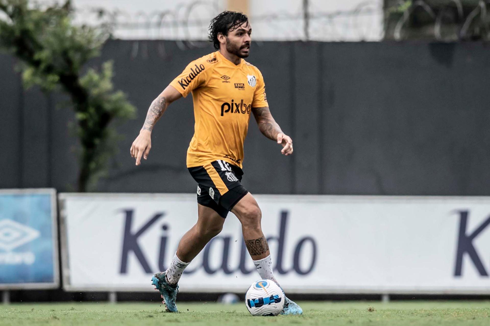 Ricardo Goulart - Santos