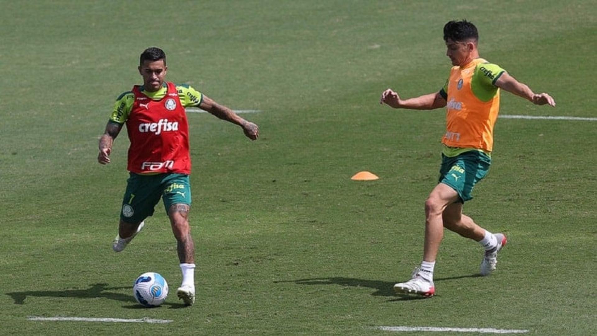 Treino Palmeiras