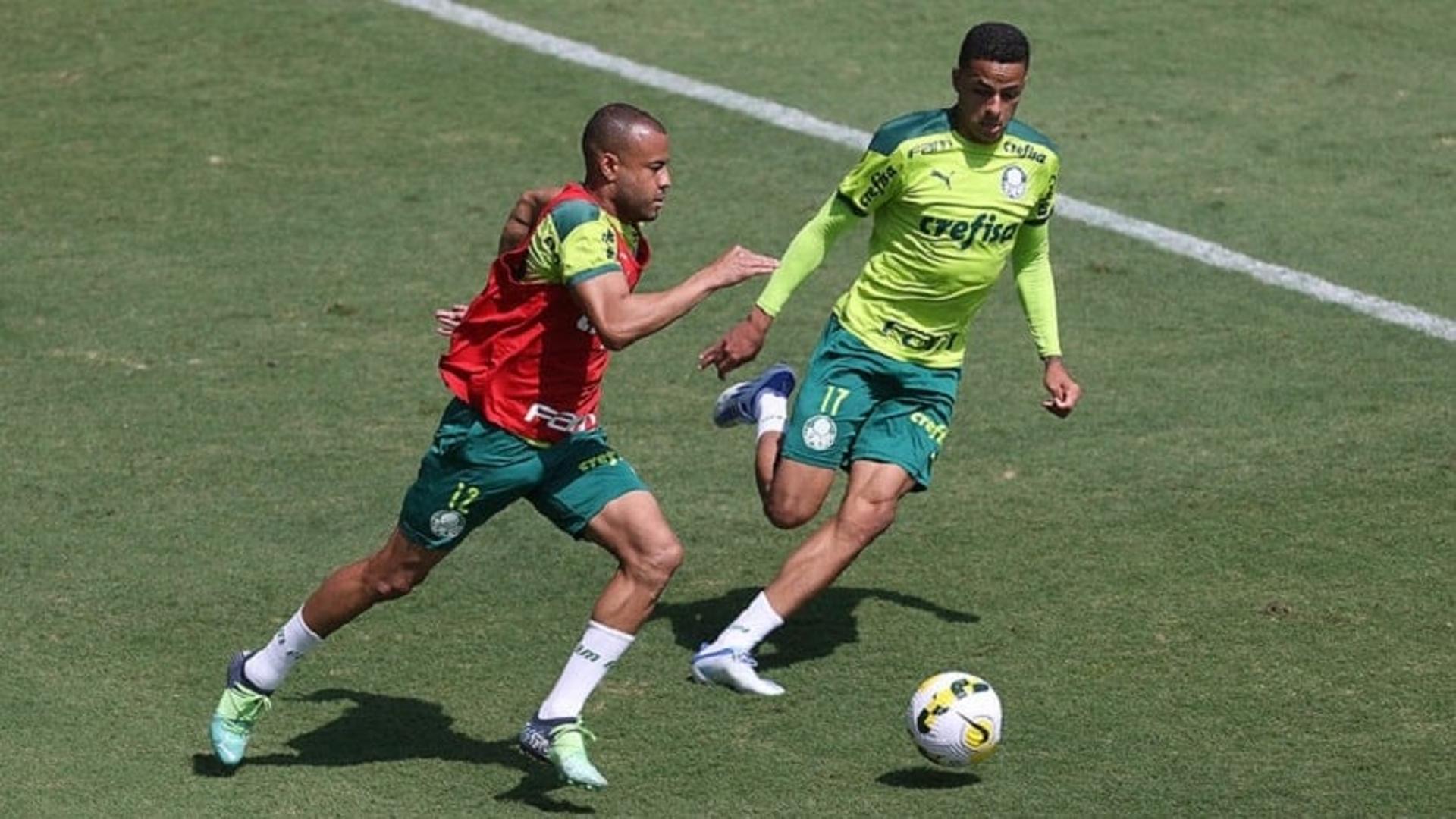 Treino Palmeiras