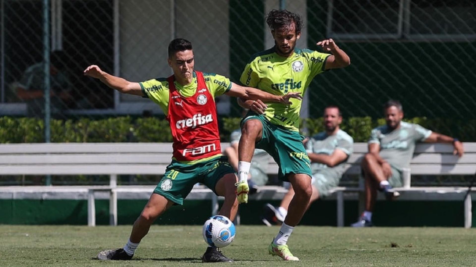 Treino Palmeiras