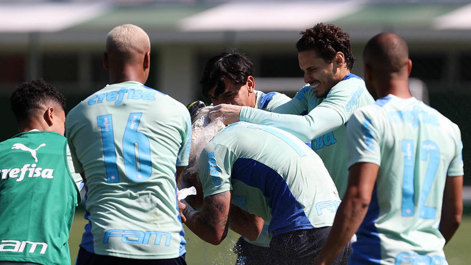 Palmeiras treino