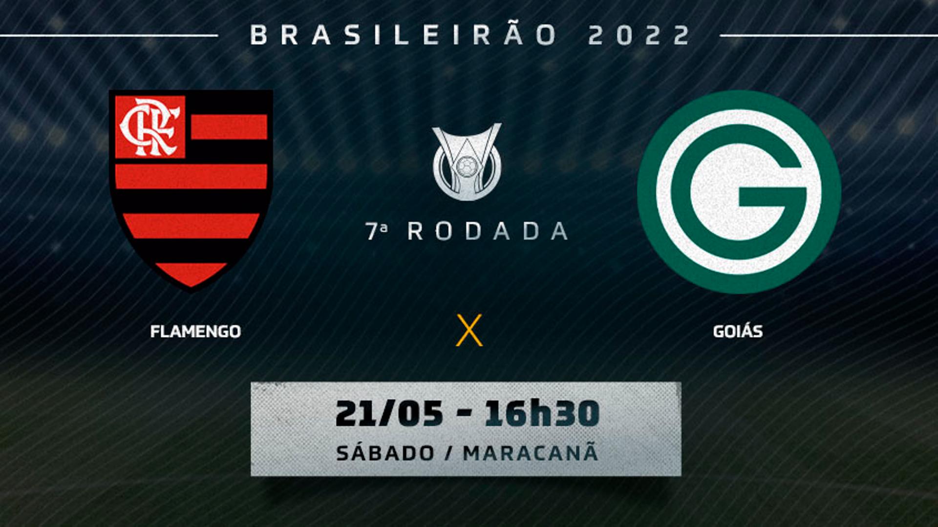 Flamengo x Goiás