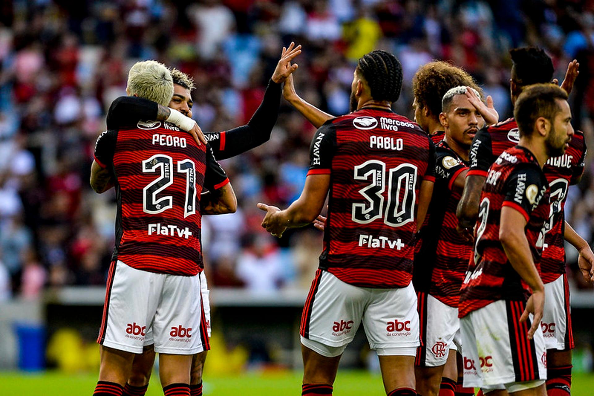 Flamengo x Goiás