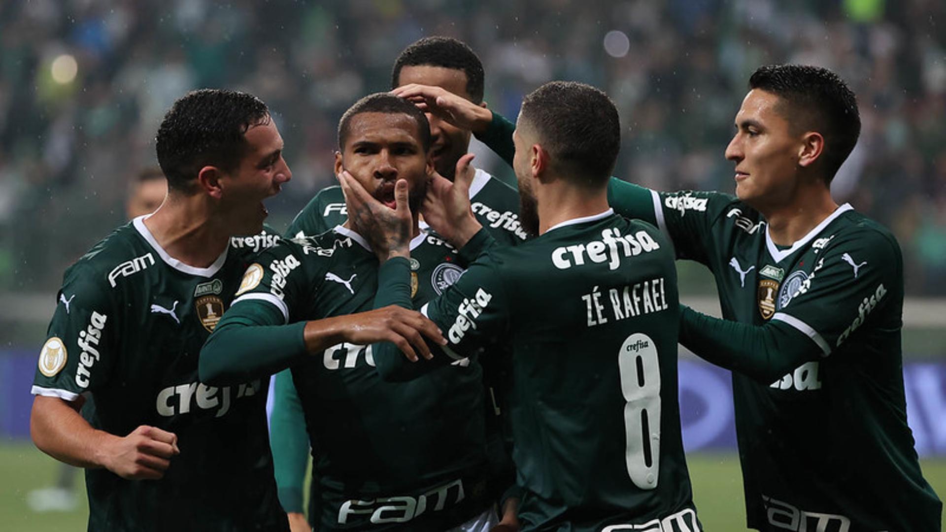 Palmeiras x Botafogo - comemoração