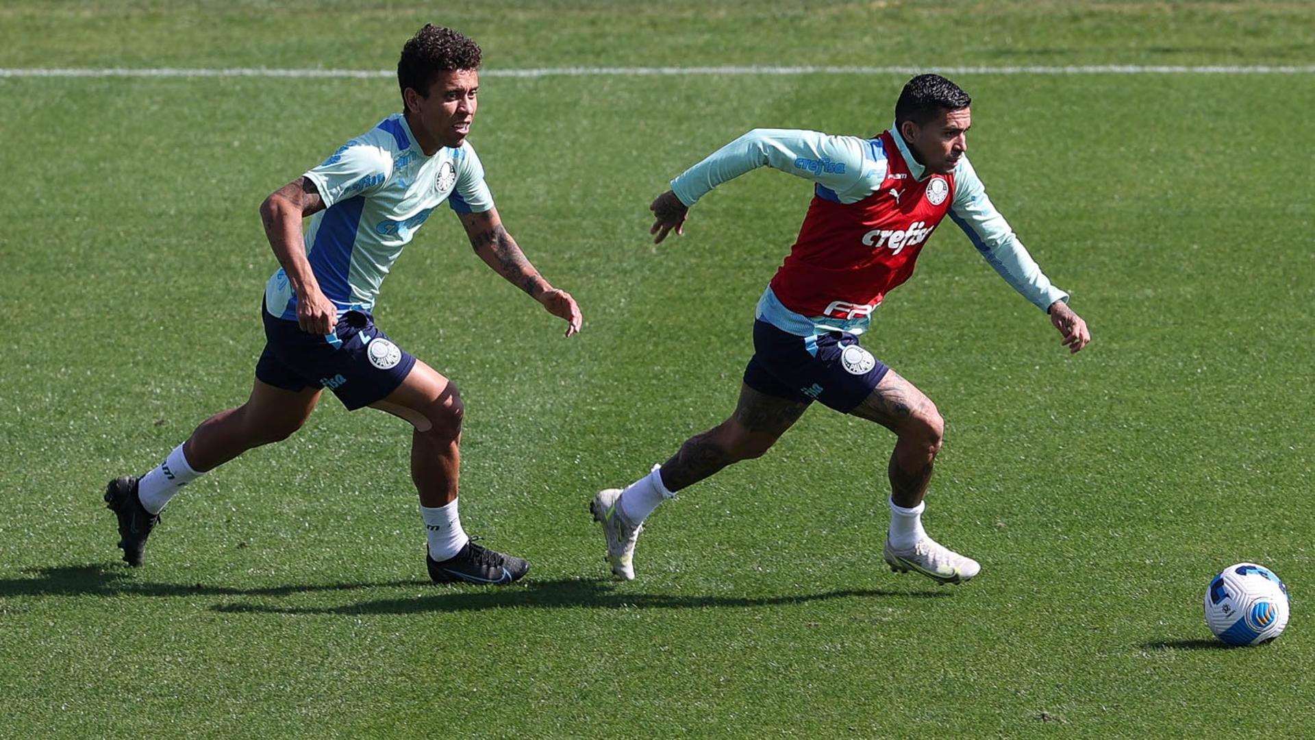 Treino do Palmeiras