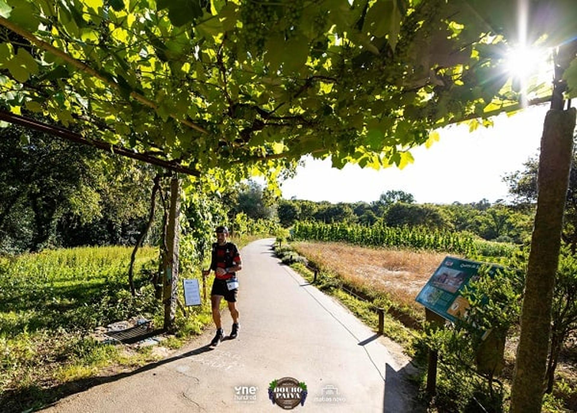 Ultramaratonista passa por um dos trechos das 100 milhas da Douro Paiva, segunda etapa do One Hundred World Series (Foto de Matias Novo/Divulgação)