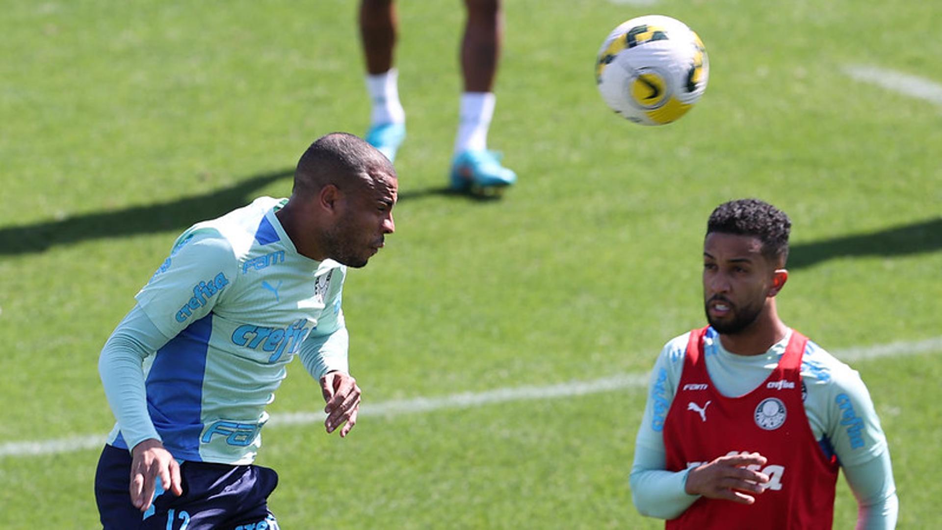 Palmeiras - treino