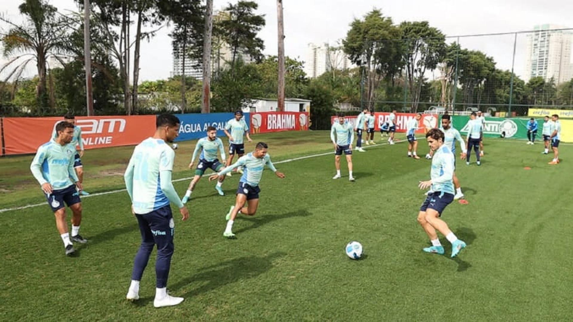 Treino Palmeiras