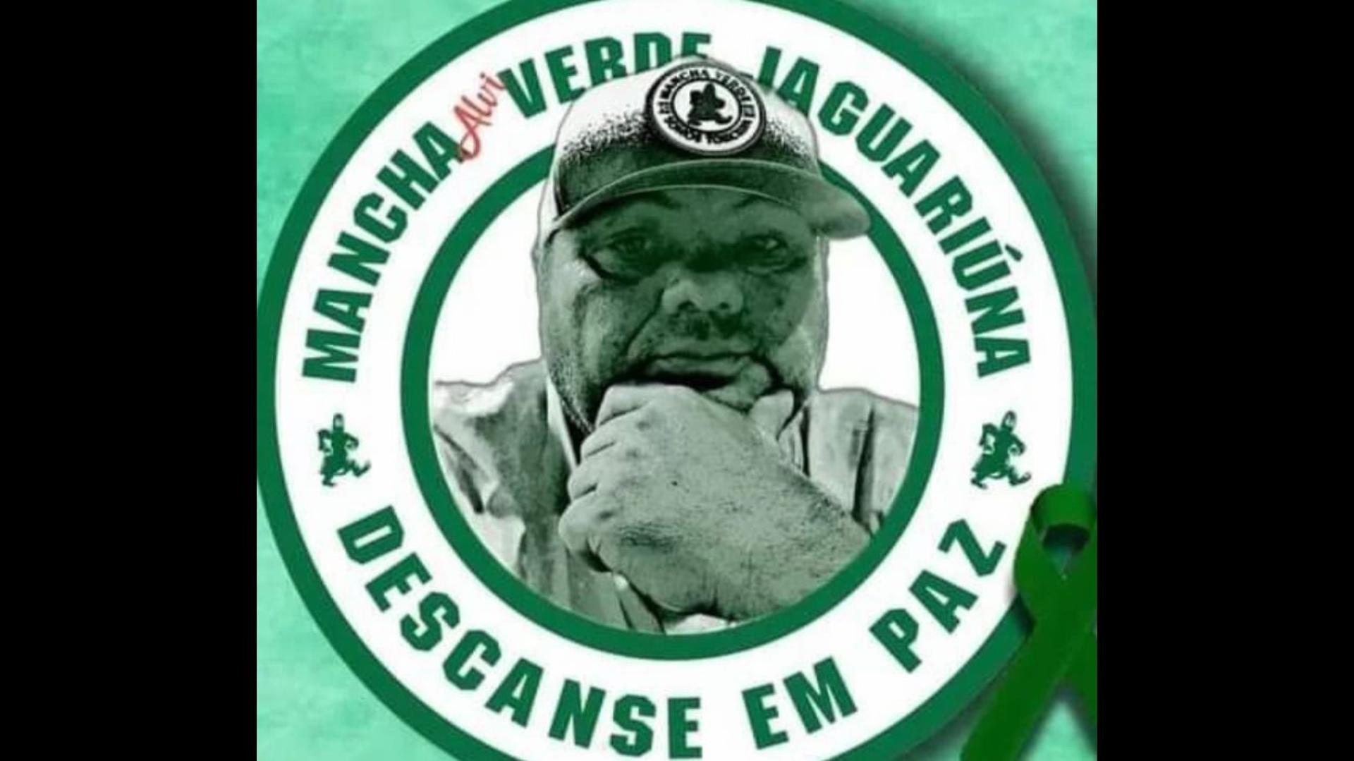 Torcedor do Palmeiras