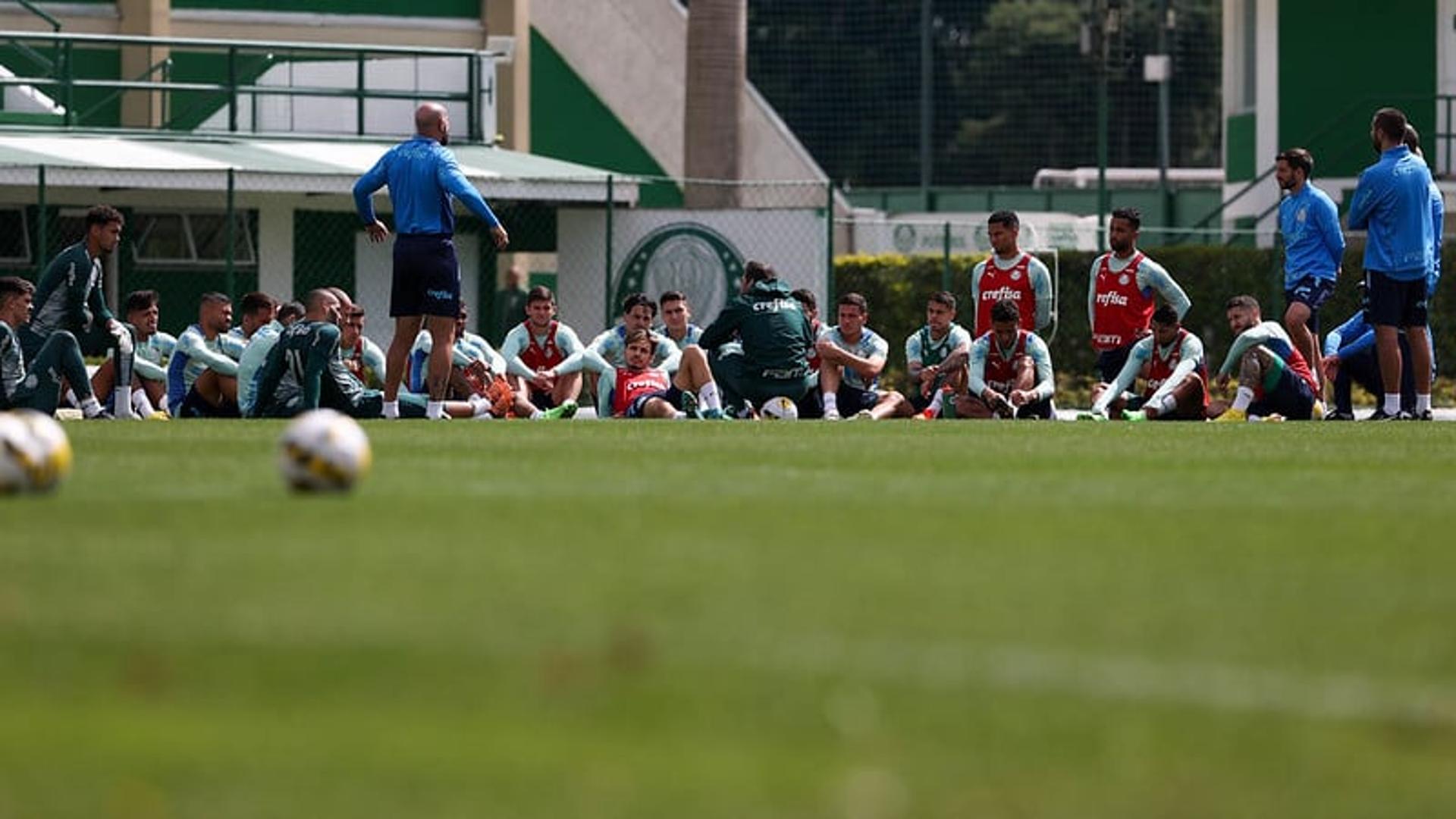 Palmeiras treino