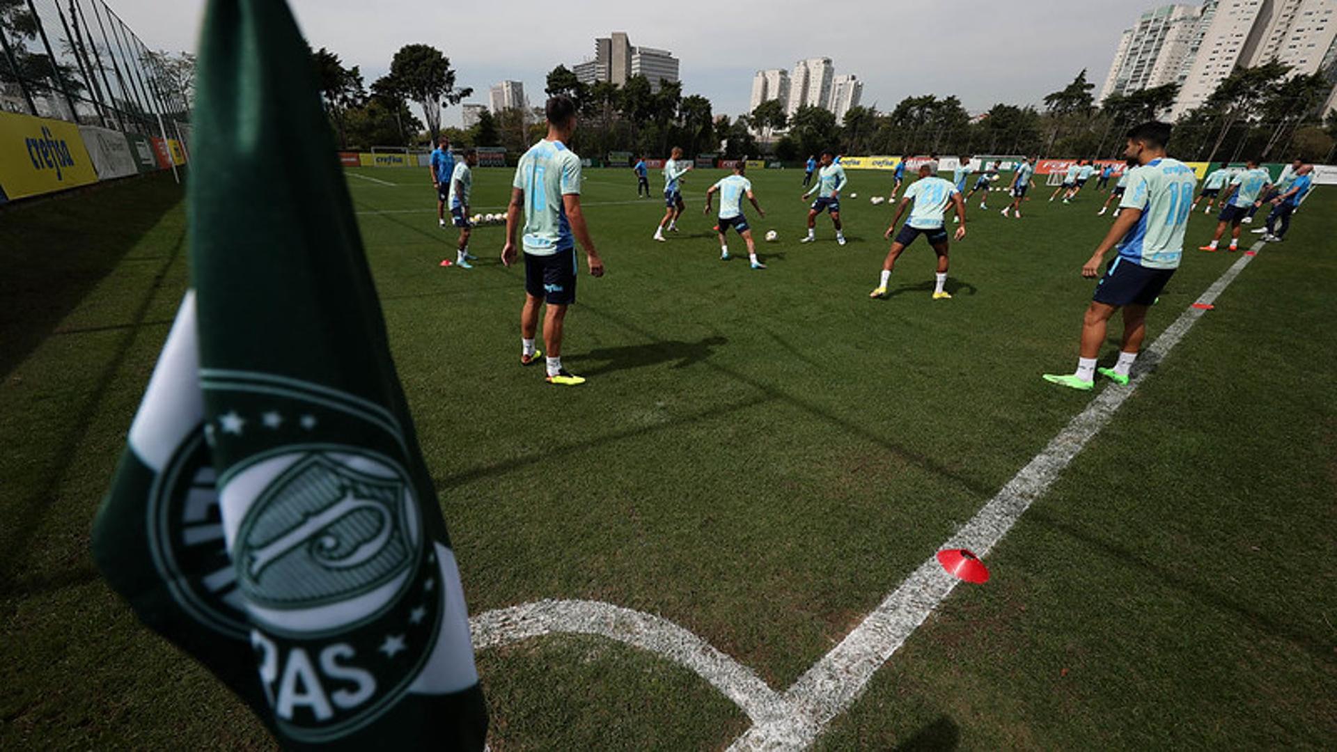 Palmeiras treino