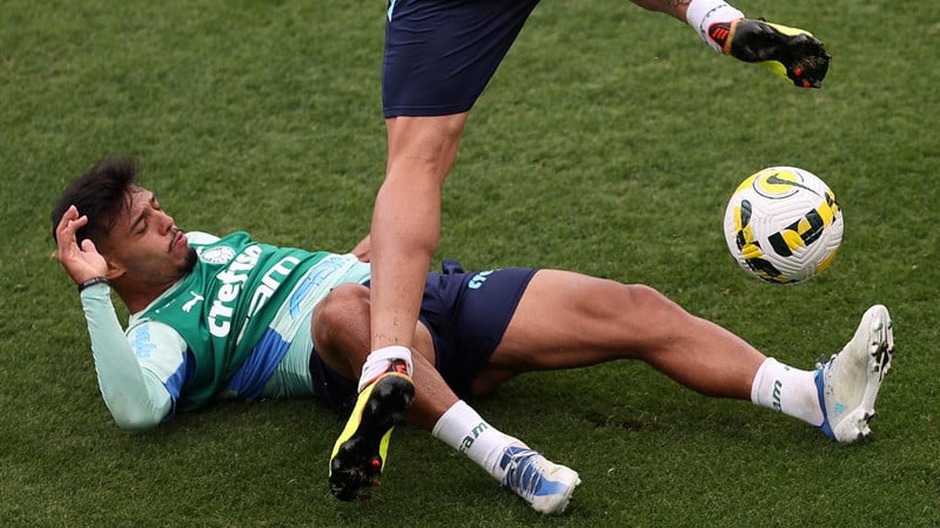 Palmeiras treino