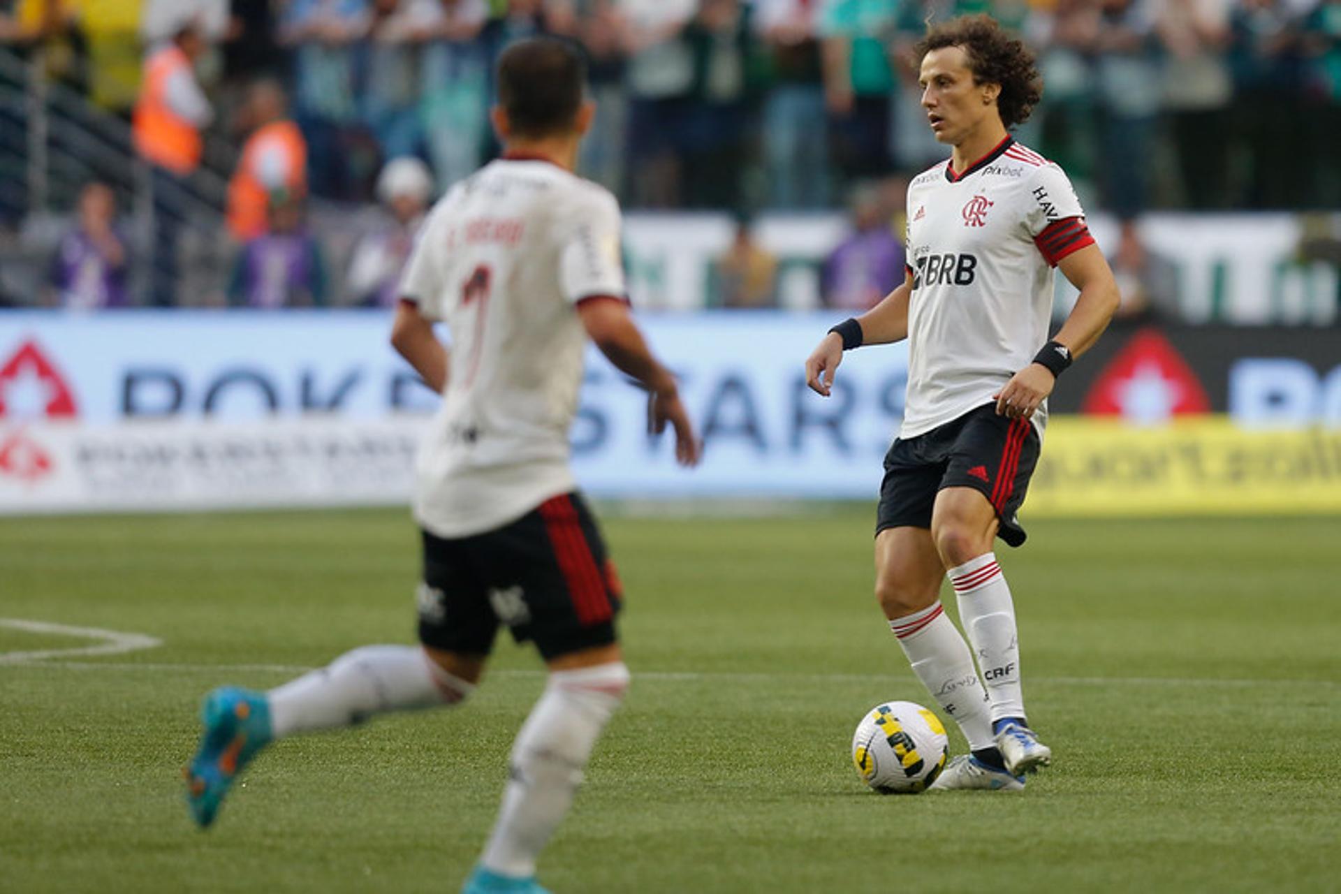 Palmeiras x Flamengo - David Luiz