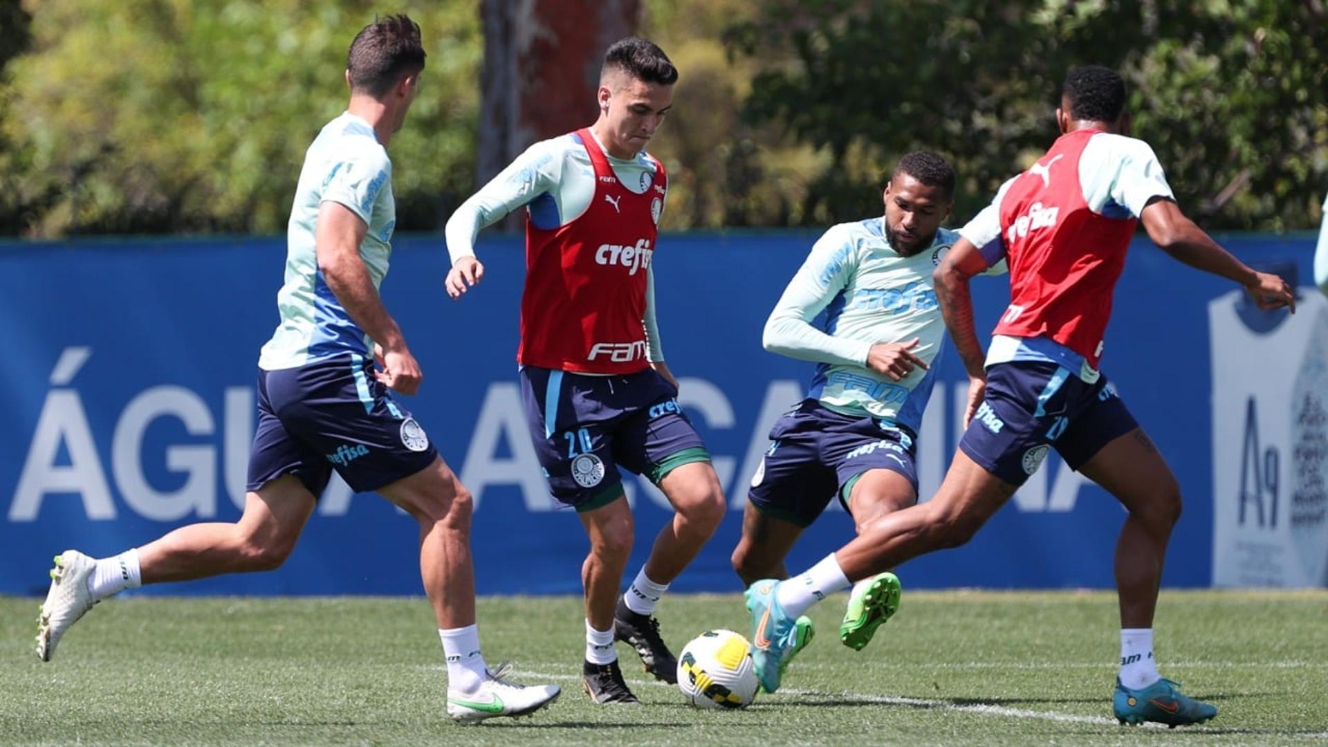 Palmeiras treino