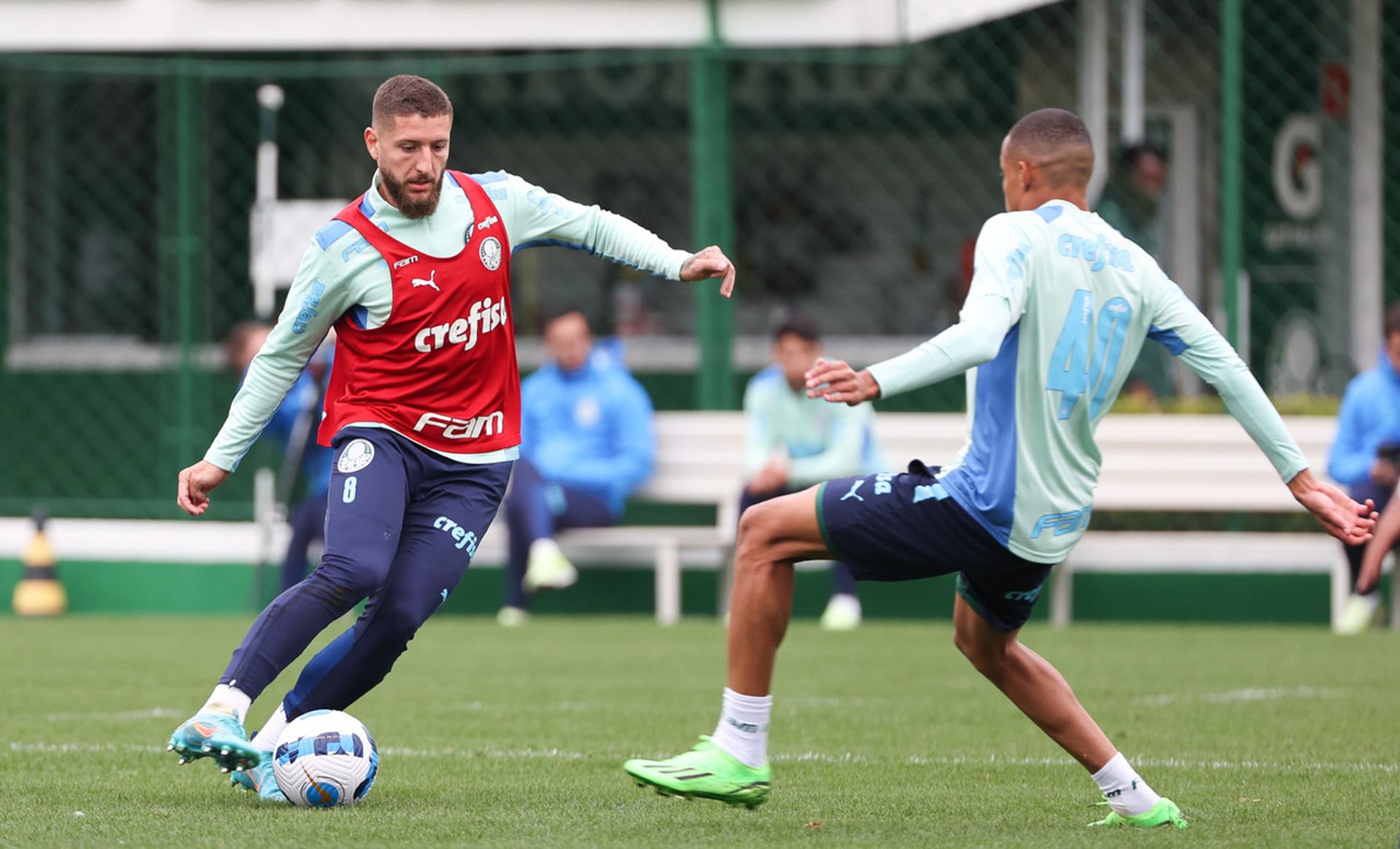 Palmeiras treino