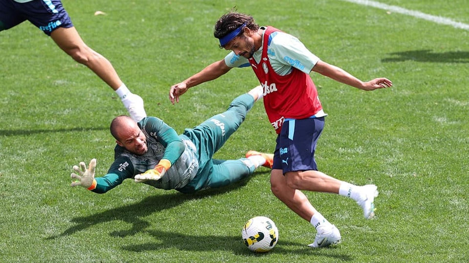 Palmeiras treino