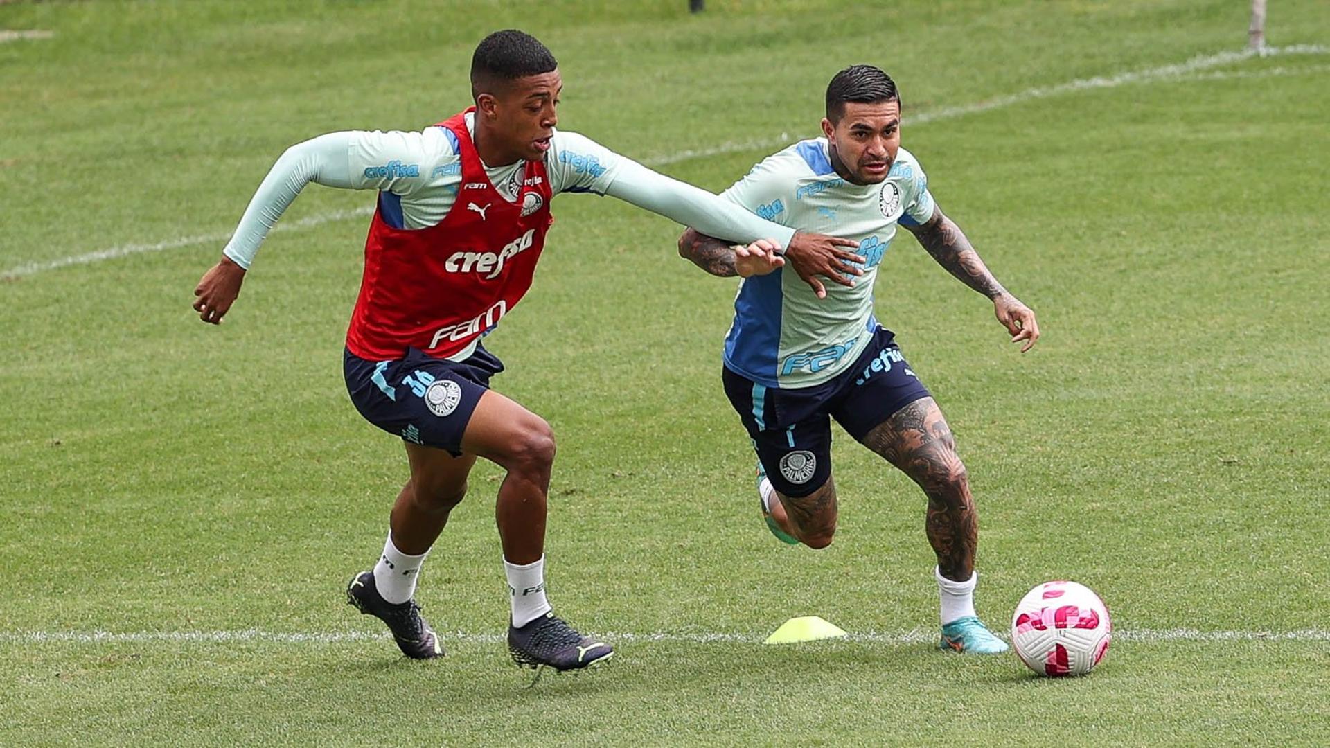 Palmeiras treino