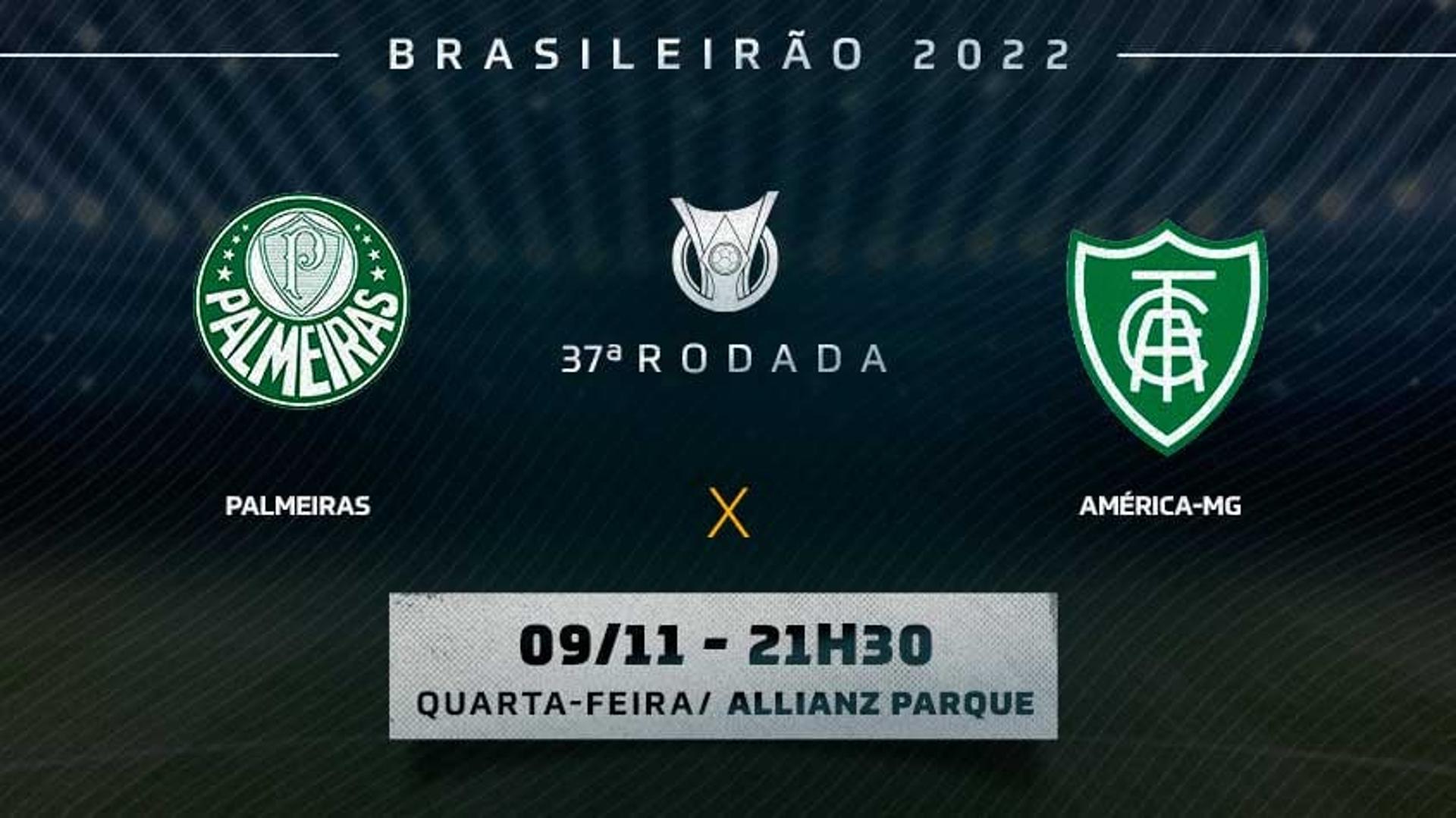 Palmeiras x América-MG