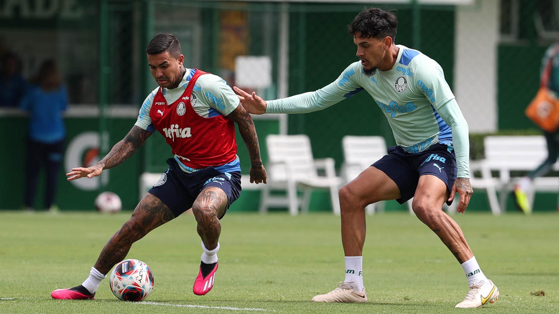 Treino Palmeiras