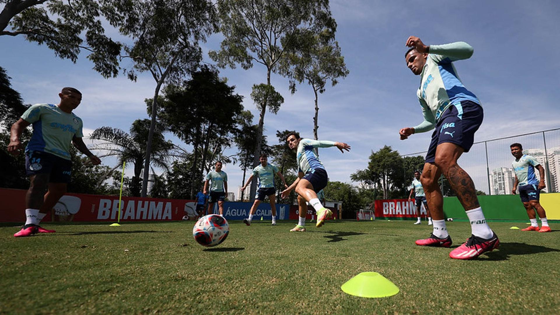 Elenco Palmeiras Treino