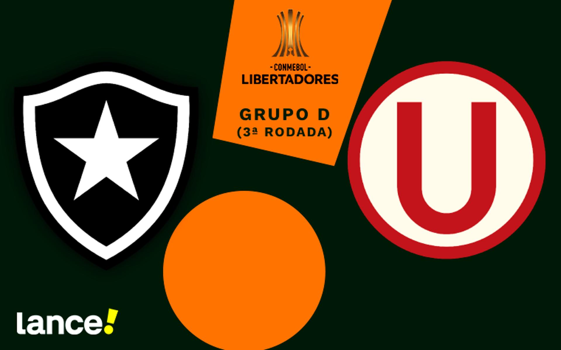 Botafogo x Universitário