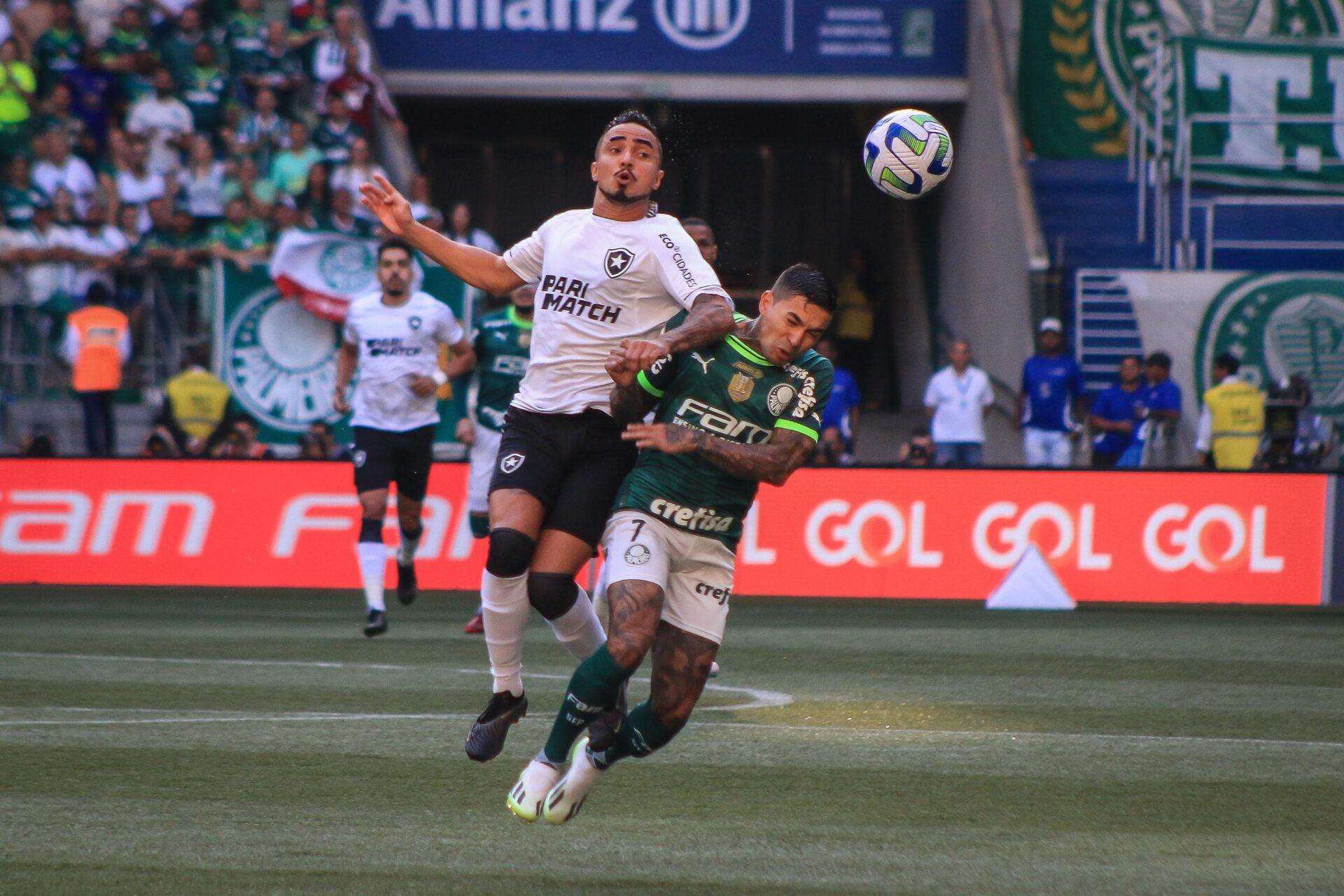 Botafogo x Palmeiras: informações e prováveis escalações do jogo pela 31ª  rodada do Brasileirão - Gazeta Esportiva