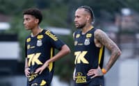 Robinho Jr e Neymar (Foto: Raul Baretta/Santos FC)