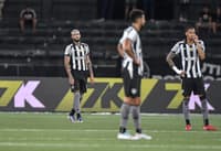 Botafogo levou empate do Mirassol após abrir 3 a 0 em casa (Foto: Thiago Ribeiro/AGIF)