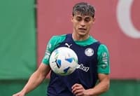 Ramón Sosa, Palmeiras, antes da Libertadores
