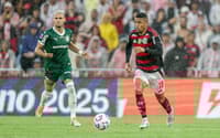 Flamengo Palmeiras