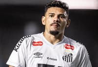 Tiquinho está pendurado no confronto (Foto: Raul Baretta/ Santos FC)