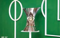 Taça troféu do Brasileirão Campeonato Brasileiro (5)