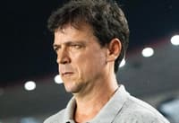 fernando diniz vasco chapecoense