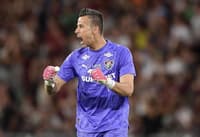 Fábio comemora em Fluminense x Atlético-MG (Foto: Thiago Ribeiro/ Agif/Gazeta Press)