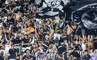 Torcida do Botafogo no Nilton Santos (Foto: Vítor Silva/Botafogo)