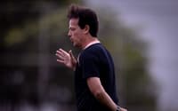 fernando diniz técnico corinthians