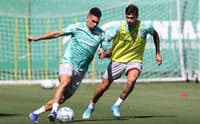 Paulinho durante treino do Palmeiras