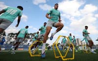 Paulinho fica à disposição do Palmeiras para o clássico contra o Santos (Foto: Cesar Greco/Palmeiras)