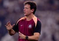 Fernando Diniz, técnico do Corinthians (Foto: Agência Corinthians)